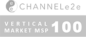 Vertical Market MSP 100 logo