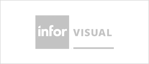 Infor Visual logo