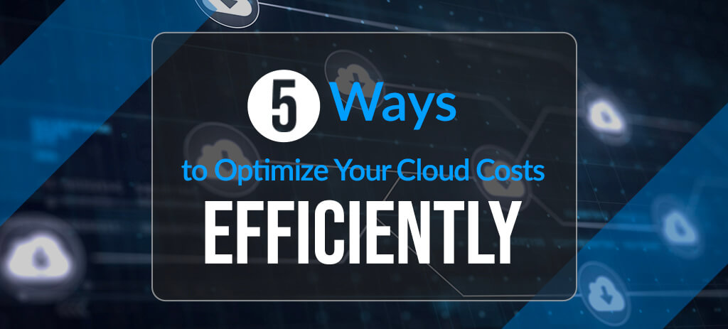 Optimize You Cloud Cost with Netlogix